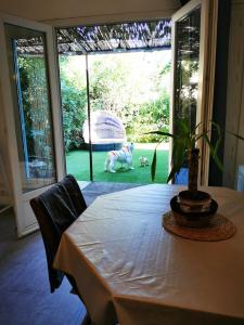 tavolo da pranzo con cane nel cortile di Studio jardin privatif 300m de la plage a Sainte-Maxime