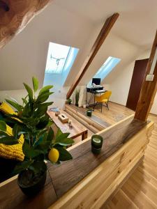 ein Wohnzimmer mit Oberlichtern und ein Zimmer mit einem Klavier in der Unterkunft U Lupka - Ostrava in Ostrava