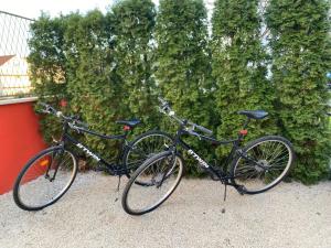 Jazda na bicykli v okolí ubytovania Apartment Darija with private pool