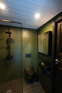 a bathroom with a shower and a toilet and a sink at Paunküla Nature Resort (forest villa) in Ardu