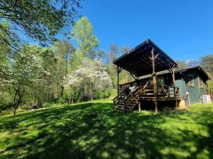 a small house in a grassy field next to a tree at Farmview Cottage at White Lotus Eco Spa Retreat in Stanardsville +17 photos