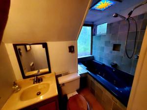 ein Badezimmer mit einem Waschbecken, einer Badewanne und einem WC in der Unterkunft Balcony Suite at White Lotus Eco Spa Retreat in Stanardsville