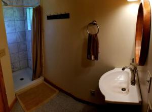 a bathroom with a sink and a shower and a toilet at Crows Nest in Stanardsville