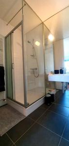 uma casa de banho com um chuveiro e um lavatório. em The South Suite - trendy duplex op het Zuid em Antuérpia