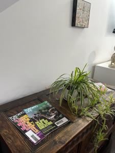 Fotografija u galeriji objekta Bright, Private, Peaceful Suite with Retail Conveniences Steps Away u gradu Toronto