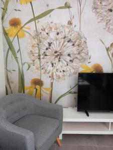 a living room with a tv and a flower mural at La cour fleurie, tout confort in Dijon