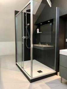a glass shower in a bathroom with a sink at La maison de Félix. Maison de bord de Loire. in Chalonnes-sur-Loire +36 photos