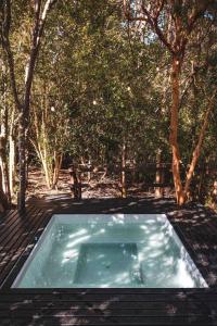 a swimming pool in the middle of a forest at Tiny House con opción de tina temperada in Puerto Varas