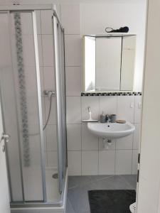 a bathroom with a shower and a sink at Cooldog Mini in Imst