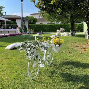 Zahrada ubytování Hotel Poppi