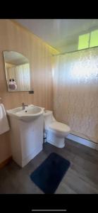 La salle de bains est pourvue d'un lavabo, de toilettes et d'un miroir. dans l'établissement Cabaña cercana a bosque nativo Frutillar, à Puerto Octay