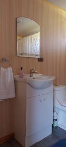 La salle de bains est pourvue d'un lavabo et d'un miroir. dans l'établissement Cabaña cercana a bosque nativo Frutillar, à Puerto Octay