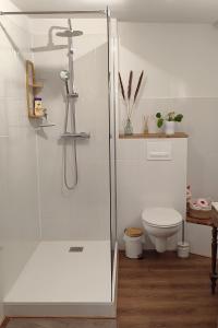 a bathroom with a shower and a toilet at Blois City - Le Petit Louis XII in Blois