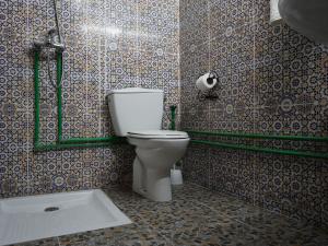 a bathroom with a toilet and a shower at La Kasbah Elkhorbat Muxu Berbere in Asrir