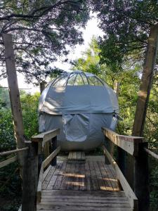 a dome tent sitting on top of a wooden ramp at The Cacoon by Once Upon a Dome @ Misty Mountain Reserve in Stormsriviermond