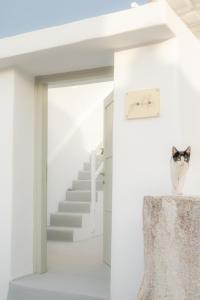 a cat sitting on a table in a white room at Yposkafon Concept Villa in Megalochori