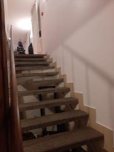 a staircase in a building with a christmas tree at Rooms near the station in Narva