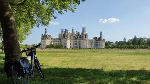 布魯瓦的住宿－Blois City - Le Petit Louis XII，靠在城堡前的树上骑着自行车