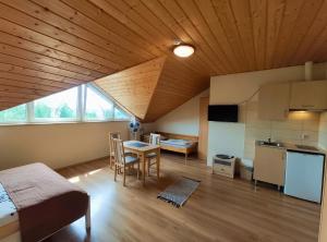 Kuchyňa alebo kuchynka v ubytovaní Widok apartamenty,domki,pokoje