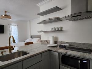 eine Küche mit einer Spüle und einer Arbeitsplatte in der Unterkunft Studio furnished in Kissimmee