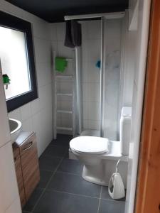 a bathroom with a toilet and a shower and a sink at Charme et authenticité in Evolène