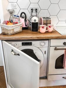 Kuchyň nebo kuchyňský kout v ubytování Boutique Apartment VINTAGE, Center + 9 fotografií