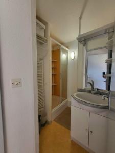uma casa de banho com um lavatório e um espelho em Appartement avec vue sur montagnes + garage em Font Romeu Odeillo Via