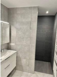 a bathroom with a shower and a sink at One bedroom flat with terrace and parking in Luxembourg