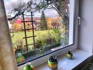 a window with a view of a garden at Pension Rosenblick in Mörlenbach