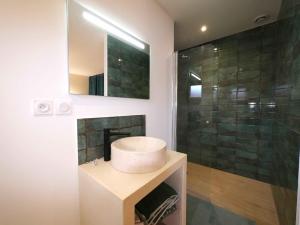 a bathroom with a sink and a shower at Villa succulente in Bouzigues