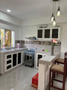 cocina con fregadero y fogones en Apartamento la Familia en Santa Bárbara de Samaná