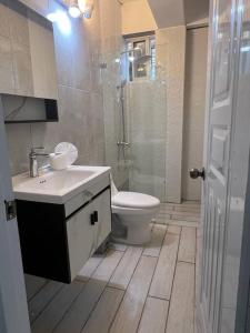 W łazience znajduje się toaleta, prysznic i umywalka. w obiekcie Apartamento la Familia w mieście Santa Bárbara de Samaná