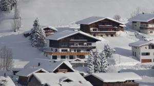 a village covered in snow with buildings at Gästehaus Almhof in Zöblen