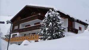 Gästehaus Almhof v zimě
