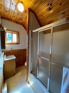 uma casa de banho com um chuveiro e um lavatório. em Camp Overlook - Big Moose Lake, NY 