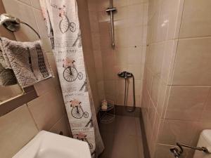 La salle de bains est pourvue d'une douche avec un rideau de douche pour les vélos. dans l'établissement Αθηναϊκό Διαμέρισμα 5, à Athènes