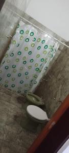 a bathroom with a toilet and a shower at Cabañas Nicasio in Merlo