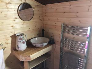 a bathroom with a sink and a mirror on a wooden wall at Unique Tiny House near 3 Peaks - The ZedShed in High Bentham