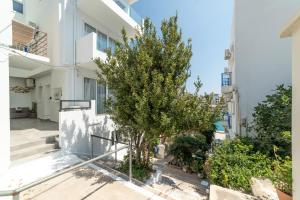 Ảnh trong thư viện ảnh của Serenita apartment 1 ở Agios Nikolaos