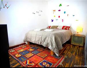 阿雷基帕的住宿－Bubamara Bolivar，一间卧室配有床、电视和地毯。