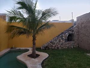 una palmera sentada junto a una piscina en Casa Hacienda Estrada, en Campeche