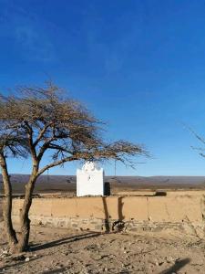 a tree and a white structure in the desert at désert tours & Hôtel Titanic lac irik in Foum Zguid
