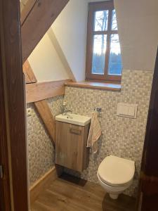 a bathroom with a toilet and a sink and a window at Chalupa Ostrůvek in Tachov