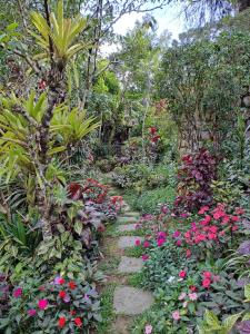 un jardín con flores de colores y un camino en Chalé charmoso e aconchegante em Visconde de Maua, en Visconde De Maua