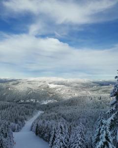a view of a snow covered forest with a river at Студио Ая- Смолянски езера in Smolyan