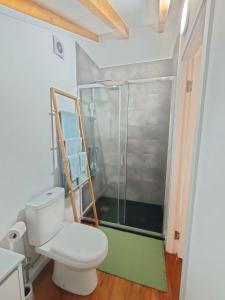 uma casa de banho com um chuveiro e um WC. em Charm studio em Bombarral