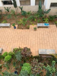 Zahrada ubytování Jad appartement 1 a essaouira