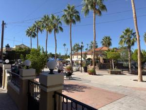 a person walking a dog on a sidewalk with palm trees at Habitación #2 en el Centro Histórico de Loreto in Loreto