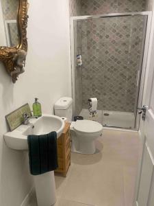y baño con lavabo, aseo y ducha. en Woodland lodge green room en Dungiven