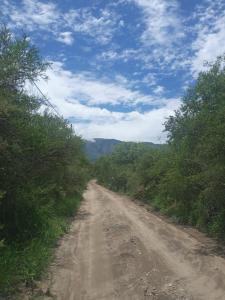 a dirt road with trees on the side of it at Cultura Serrana in La Paz